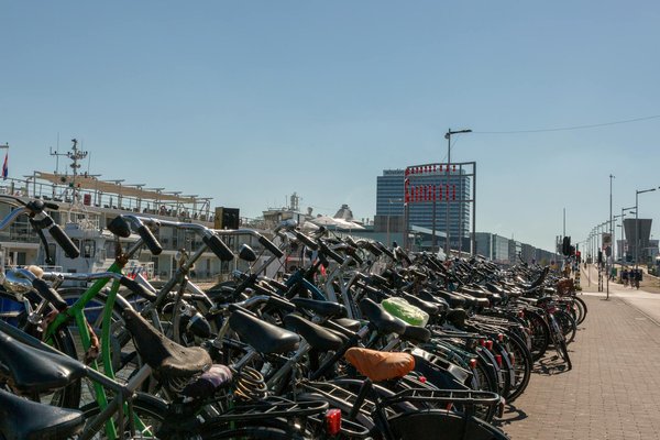 Exclusif : Chicken Road - Analyse détaillée pour joueurs français