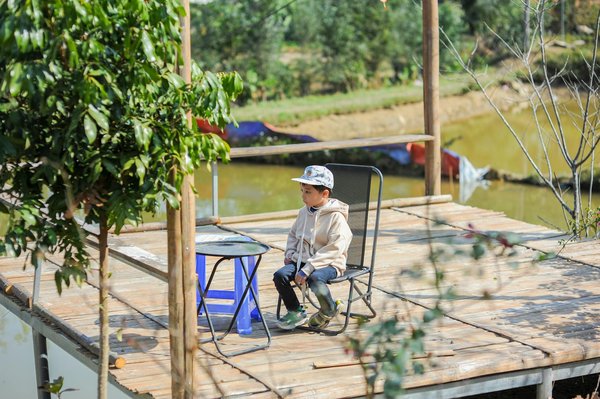 Rénover sa maison de manière écologique : astuces et conseils