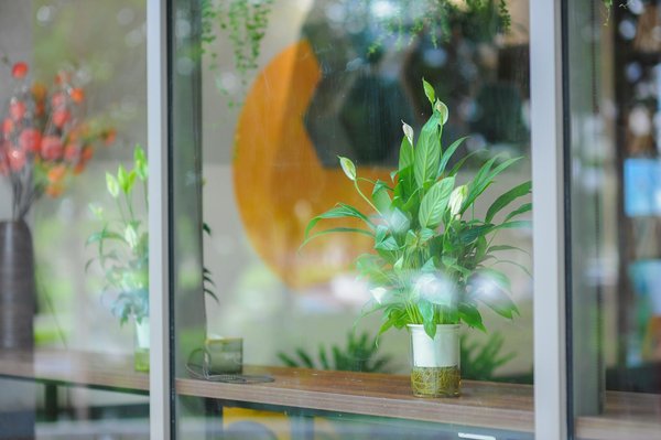 Exclusif Compétitions De Poker Avec Des Prix Exceptionnels 🚀 FR   Bet Now