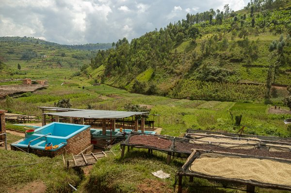 Quels sont les systèmes innovants pour le recyclage des eaux grises dans l'agriculture urbaine ?